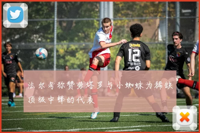 法尔考称赞劳塔罗与小蜘蛛为稀缺顶级中锋的代表